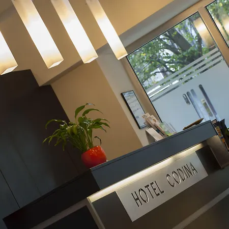 Sercotel Codina Hotel 3*