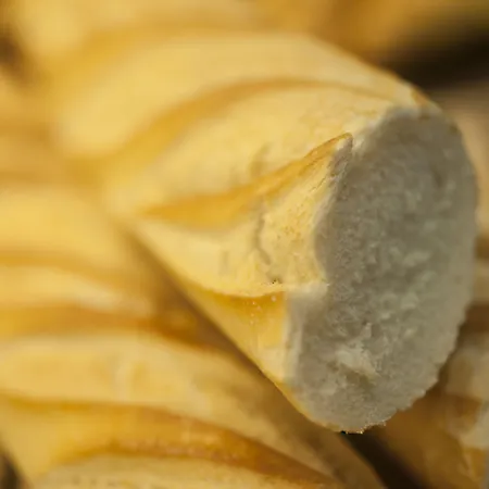 Sercotel Codina San Sebastian