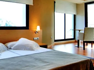 Sercotel Codina Hotel 3*