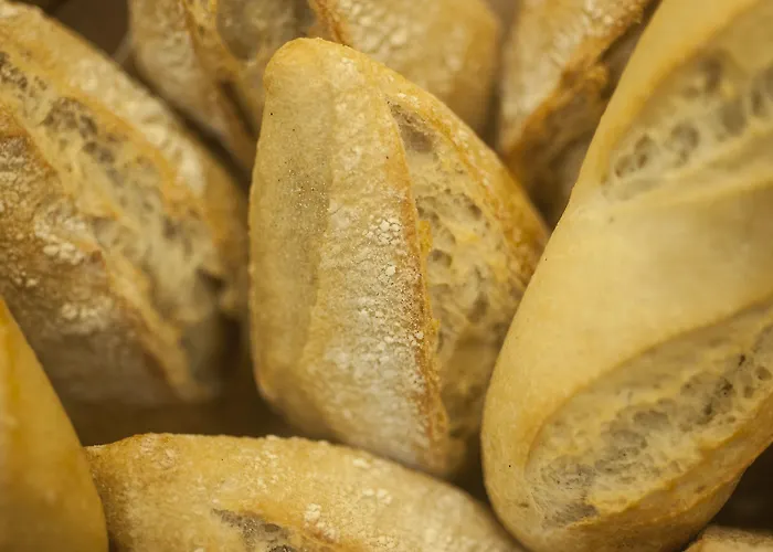 Отель Sercotel Codina 3*